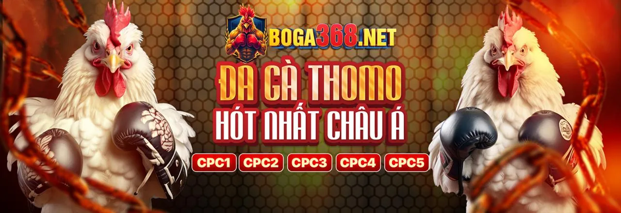Đá Gà 68gb – Trải nghiệm cá cược trực tuyến đỉnh cao